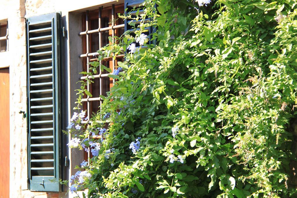 Bed and Breakfast Antica Casa "Le Rondini" Borgo a Buggiano Zewnętrze zdjęcie