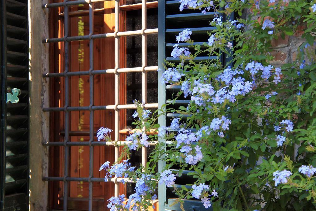 Bed and Breakfast Antica Casa "Le Rondini" Borgo a Buggiano Zewnętrze zdjęcie